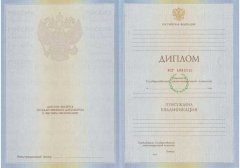 Диплом специалиста 2009-2011 год 